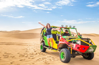 Excursión de 1 día a Paracas y Huacachina con Islas Ballestas