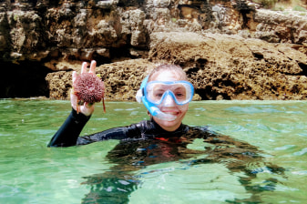5-Hour Arrábida Snorkelling Adventure in Crystal Waters