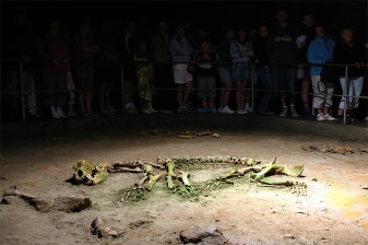 8-Hour Bear's Cave Tour from Oradea with prehistoric fossils