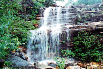 4-Hour Trekking Tour in Chapada Diamantina with Serrano and Waterfalls