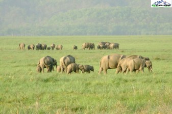 4-Day Nainital and Corbett Safari Tour from Delhi or Dehradun