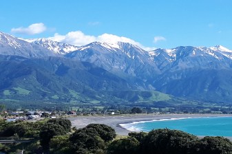 2-Day Picton to Christchurch Tour with Kaikoura and Seal Colony