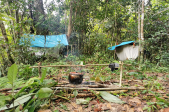 5-Day Amazon Jungle Expedition from Iquitos with Yarapa Camping
