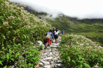 6-Day Valley of Flowers Trek with Hemkund Sahib