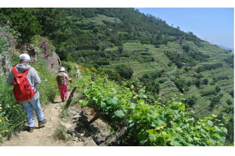 4-Hour Cinque Terre Hiking Tour with Volastra and Corniglia