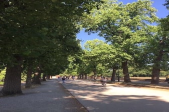 2-Hour Bike Tour of Lucca with Renaissance Walls and Historic Squares