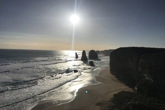 1-Day Great Ocean Road Tour to the 12 Apostles with Wild Koalas