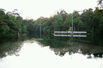 Full-Day Nature Walk in Kota Damansara with Ethnic Borneo Spa