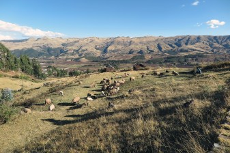 Full-Day Mountain Biking Tour to Paucartambo from Cusco