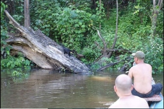 4-Day Amazon Camping Tour from Iquitos through the Yarapa Basin