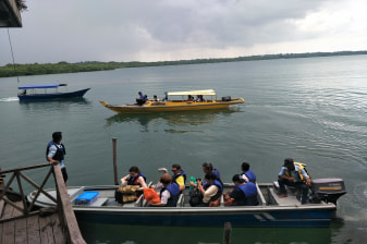 1 Jam Tur Mangrove Bintan dengan pemandu lokal dan antar-jemput