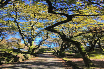 A Journey Through Braga & Guimarães: Hiking the Sacred Hills and Ancient Roots of Portugal