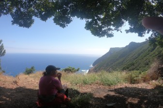 7-Hour Laurel Forest Walk from Funchal through Laurissilva