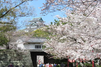 1-Day Wakayama City Tour with Castle, Kuroshio Market and Gardens