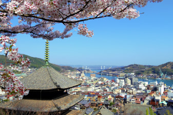 5-Hour Onomichi Temple Tour with Gosyuinn, Matcha and Calligraphy