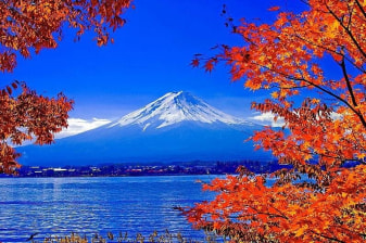 1-Day Private Mount Fuji Tour from Tokyo with Multilingual Guide