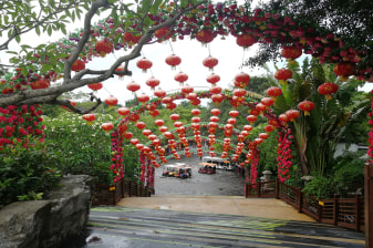 1-Day Shenzhen Traditional Shows Tour with 3 Famous Performances