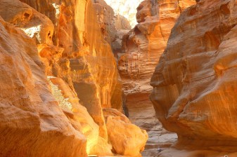 3-Day Cairo to Petra Tour with Ferry Ride and Petra Highlights
