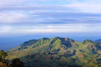 8-Hour Puncak Pass and Bogor Botanical Garden Tour with Valley Views