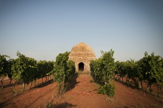 6-Hour Lecce and Salento Winery Tour with Lunch and Wine Tasting