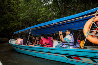 Langkawi Mangrove Tour Night Safari