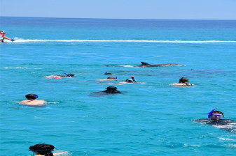 8-Hour Dolphin House Snorkeling Trip in Hurghada with Sea Sports