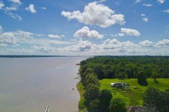Tour de 4 horas por el Amazonas en Iquitos con avistamiento de delfines