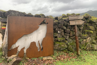 8-Hour Peneda-Gerês National Park Tour from Guimarães with Fafião