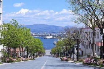 6-Hour Hakodate City Tour with Mt. Hakodate and Goryokaku Park