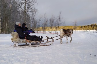 3-Hour Reindeer Sleigh Ride in Rovaniemi with Traditional Farm Visit