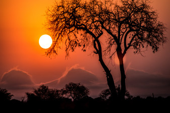 20-Day South Africa Safari and Culture Adventure from Johannesburg