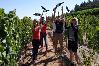 9-Hour Douro Valley Wine Tour from Porto with Lunch and River Cruise