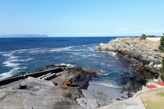 1-Day Whale Watching Shore Excursion from Cape Town with Hermanus