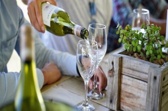 6-Hour Cape Winelands Private Tour with Family-Friendly Tastings