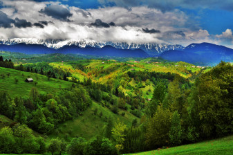 14-Day Romania Heritage Tour with Maramureș and Danube Delta