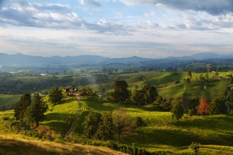 5-Day Coffee Tour in Quindío with Cocora Valley and Colonial Towns