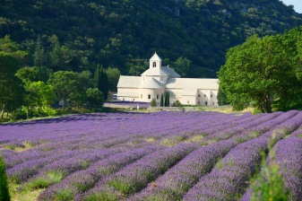 8-Hour Luberon Lavender Tour from Aix-en-Provence with Local Expert