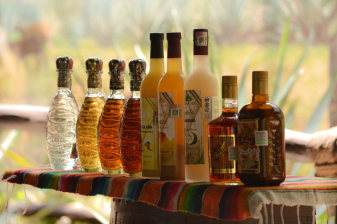 3-Hour Cozumel City Walking Tour with Tequila Tasting and Lunch