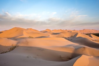 6-Day Gobi Desert Tour from Ulaanbaatar with Nomadic Family Stays