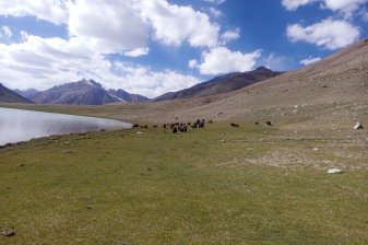 16-Day Shimshal Valley Trek in Pakistan with Shimshal Pass Adventure
