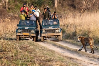 2-Day Jim Corbett National Park Safari from Delhi with Garjia Temple
