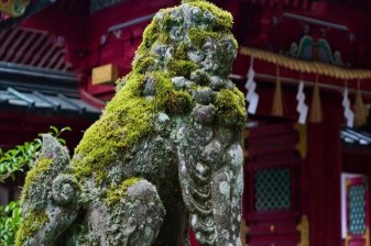 10-Hour Nikko Cultural and Natural Wonders Tour from Tokyo