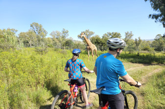4-Hour Mountain Bike or E-Bike Tour in South Africa with Wildlife