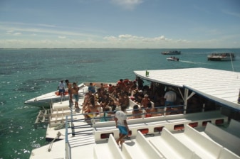1-Day Maracajaú Snorkeling Tour with Punaú Beach and Catamaran