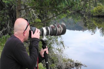 4-Hour Plettenberg Bay Game Reserve Tour with Birdwatching