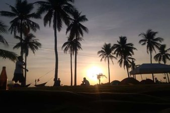 1-Day Olango Island Wildlife Tour with Eco Park and Shell Crafts