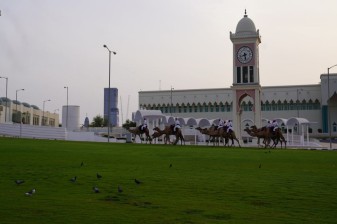 4-Hour Doha City Tour with Souq Waqif, Katara and Lusail