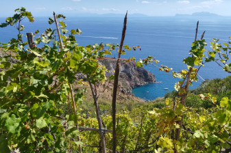 5-Hour Ischia Wine Tasting Tour with Bay of Naples Views