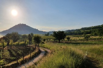 10-Hour Istrian Peninsula Tour from Rijeka or Opatija with Motovun