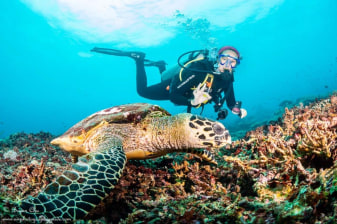 2-Day Beginner Scuba Diving Experience in Nusa Penida with 2 Dives